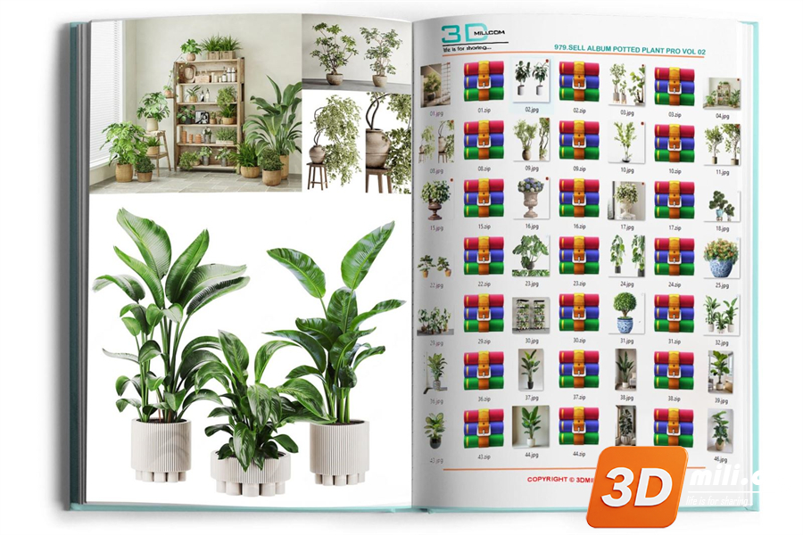 979.Sell Album Potted Plant PRO Vol 02